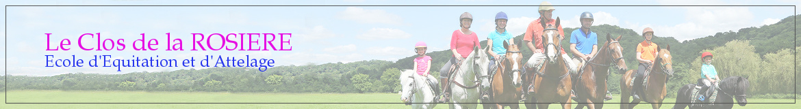 Le Clos de la ROSIERE